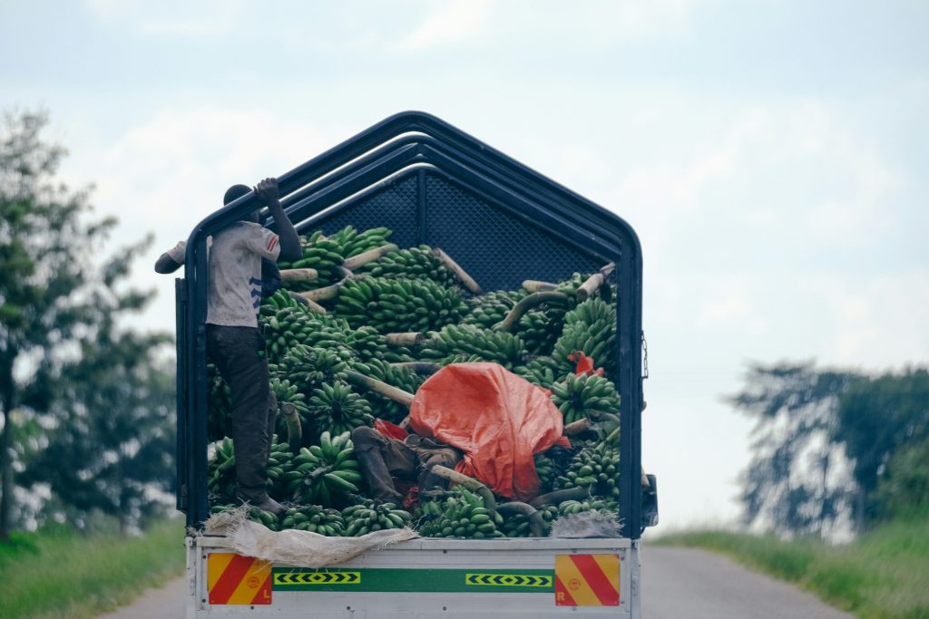 Agri-Business in Uganda